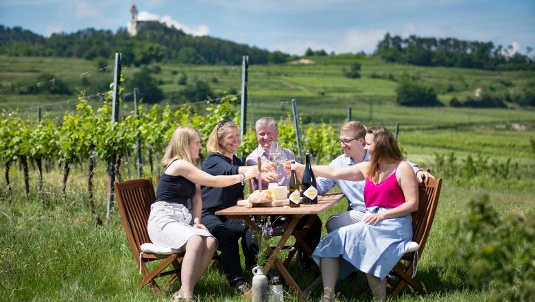 Convention Bureau St. Pölten, Incentive, © Markus Berger Gruppe von Menschen stößt an einem Tisch im Weinberg an.