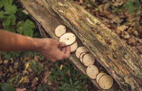 WienerWald Genuss, © WienerWald Tourismus, Studio Kerschbaumer WienerWald Genuss, © WienerWald Tourismus, Studio Kerschbaumer