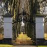 greillenstein_0088__c_natur_im_garten-alexander_haiden_klein_1, © Natur im Garten/Alexander Haiden Eisernes Tor mit weißen Säulen, dahinter eine Allee mit Bäumen.