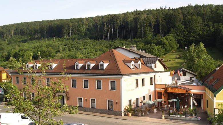 Das Steinberger, © Das Steinberger Außenansicht eines Hotels mit Terrasse und umliegendem Wald.