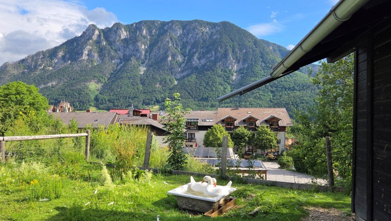 Flackl-Wirt - Tierisches Vergnügen, © Flackl - Wirt GmbH & Co KG Eine Gans badet in einer Wanne auf einer Wiese mit Bergen im Hintergrund.