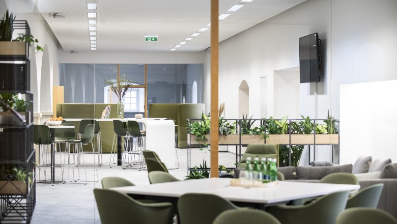 Modernes B&uuml;ro mit gr&uuml;nen St&uuml;hlen, Pflanzen und Tischen.