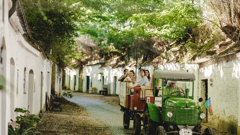 Thermenresort Laa, Oldtimer Traktorfahrt in die Kellergasse, &copy; Michael Reidinger