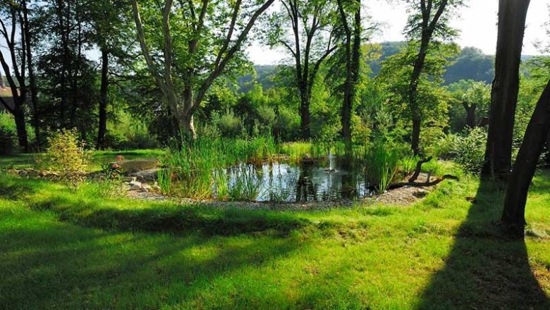 Historisches Parkareal, &copy; Schlosspark/mesonic