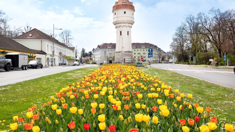 Wiener Neustadt, Frühling, © Michael Weller