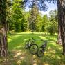 Zwei Fahrr&auml;der stehen zwischen B&auml;umen im Park.