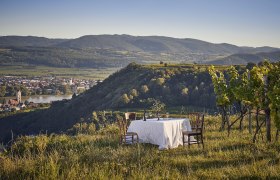 Ein gedeckter Tisch in einem Weinberg mit Blick auf eine Stadt und H&uuml;gel im Hintergrund.