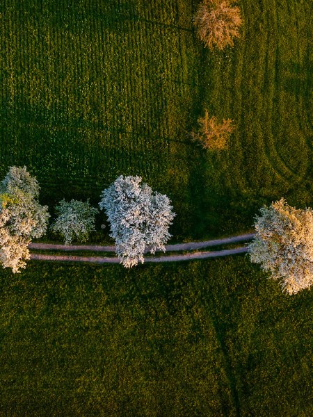 Convention Bureau Nieder&ouml;sterreich, Fr&uuml;hling im Mostviertel, &copy; Sabine Wieser