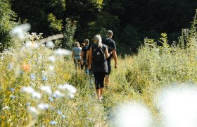 WienerWald Waldauszeit, © WienerWald Tourismus, Louis Geister