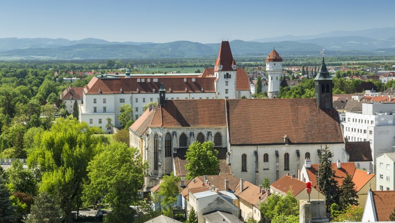 Panorama von Wiener Neustadt mit dem Neukloster und Wasserturm im Hintergrund.