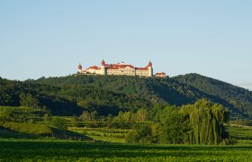 Benediktinerstift Göttweig auf einem Hügel mit grüner Landschaft im Vordergrund.