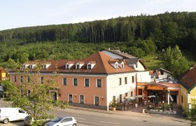 Außenansicht eines Hotels mit Terrasse und umliegendem Wald.