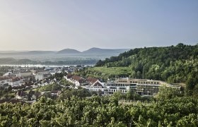 Blick auf das Steigenberger Hotel & Spa Krems umgeben von Weinbergen und H&uuml;geln.