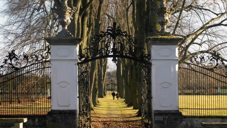 Eisernes Tor mit weißen Säulen, dahinter eine Allee mit Bäumen.