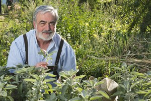 Steinschaler Dörfl, Hans Weiss, © Steinschaler Naturhotels