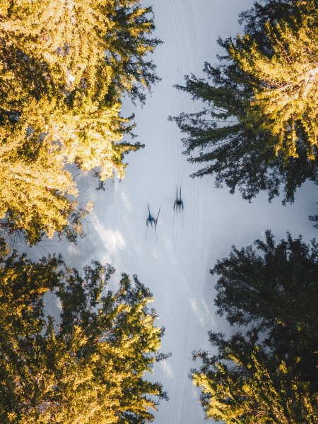 Convention Bureau Nieder&ouml;sterreich, Winterwald, &copy; N&Ouml;W, Josef Wittibschlager