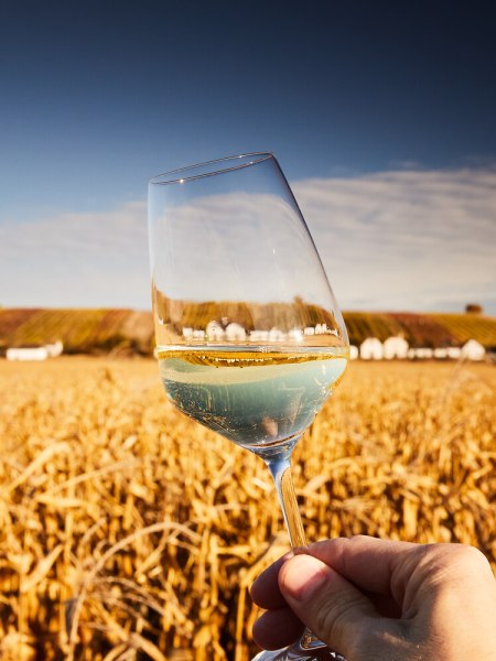Convention Nieder&ouml;sterreich, Herbst im Weinviertel, &copy; Weinviertel Tourismus, Michael Liebert