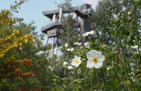 DIE GARTEN TULLN, © DIE GARTEN TULLN