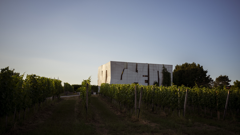 Moderne Architektur inmitten eines Weinbergs bei Sonnenuntergang.