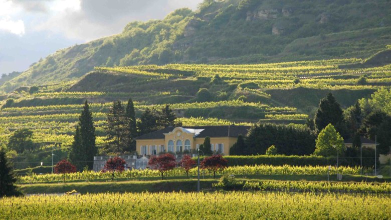 Weingut Sepp Moser mit terrassierten Weinbergen im Hintergrund.