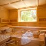 Innenansicht einer Sauna mit Holzb&auml;nken, Handt&uuml;chern und einem Fenster mit Blick ins Gr&uuml;ne.