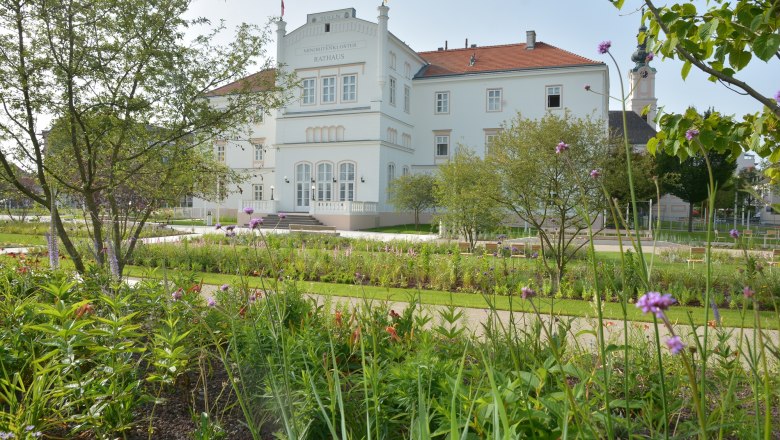 Das Minoritenkloster in Tulln mit gepflegtem Garten im Vordergrund.