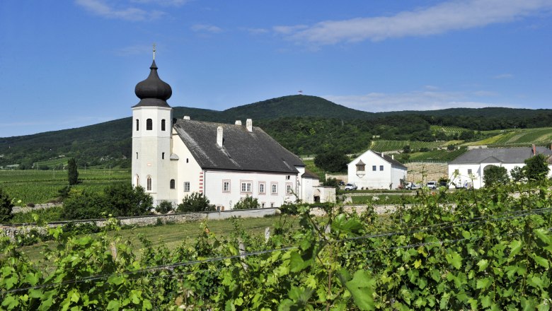 Weinberge und Kirche in Thallern vor einer H&uuml;gelkulisse.