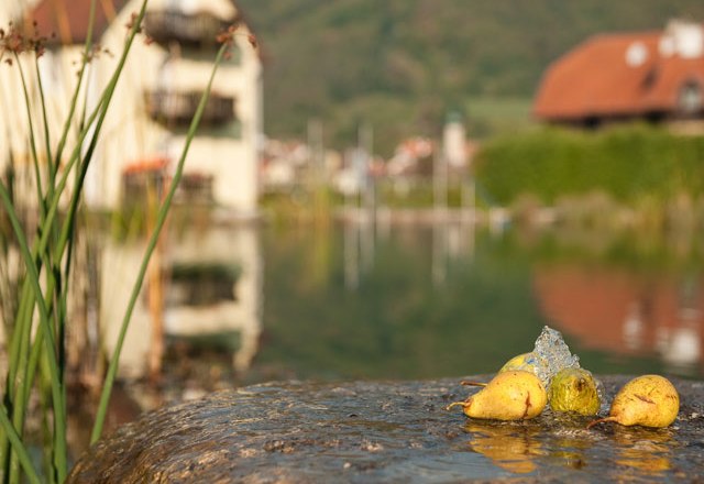 Birnen auf einem Stein am Rand eines Teiches mit unscharfem Hintergrund.