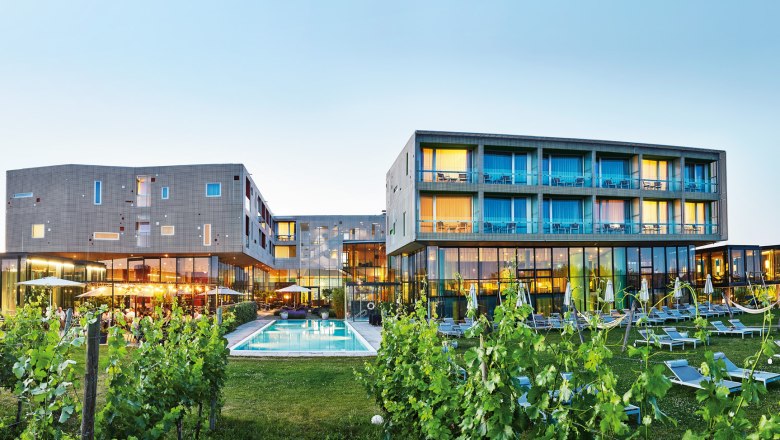 Modernes Hotelgeb&auml;ude mit Pool und Weinreben im Vordergrund.