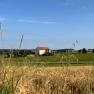 Korngut Jetzt, &copy; korngut