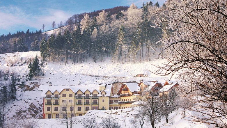 Steinschaler Dörfl im Winter, © Steinschaler Naturhotels