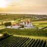Luftaufnahme eines Hotels inmitten von Weinbergen bei Sonnenuntergang.
