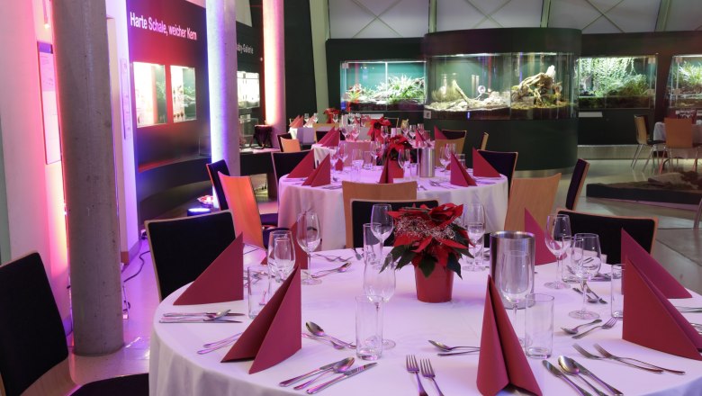 Museum Niederösterreich, Dinner im Erlebnisbereich, © Museum Niederösterreich, Foto: Giesswein
