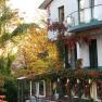 Au&szlig;enansicht eines Hauses mit Efeu bewachsen und Herbstb&auml;umen im Hintergrund.