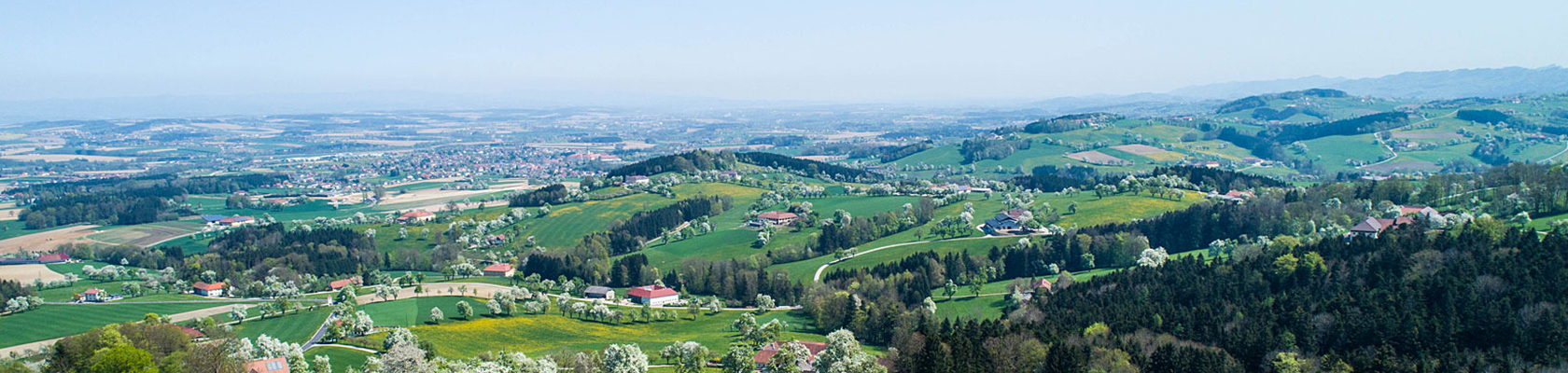 Convention Nieder&ouml;sterreich, Birnbaumbl&uuml;te im Mostviertel, &copy; Cleanhill Studios, Gerald Pr&uuml;ller