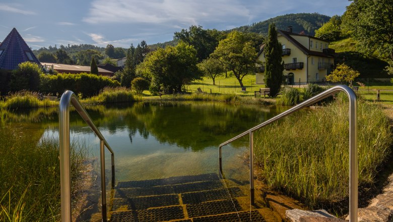 Treppen f&uuml;hren in einen Teich mit klarem Wasser, umgeben von gr&uuml;ner Landschaft und einem Haus im Hintergrund, unter einem strahlend blauen Himmel mit Sonne.