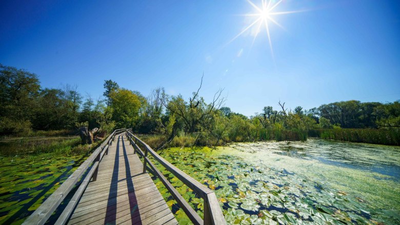 St. Pölten, Naturpark Feldmühle, © SEPA.Media/Josef Bollwein