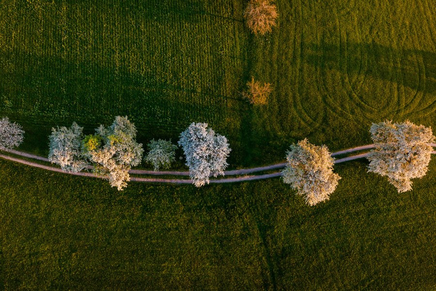 Convention Bureau Nieder&ouml;sterreich, Fr&uuml;hling im Mostviertel, &copy; Sabine Wieser
