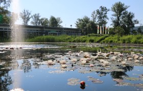Ein Teich mit Seerosen im Vordergrund, umgeben von Bäumen mit dem Gebäude der Garten Tulln im Hintergrund.