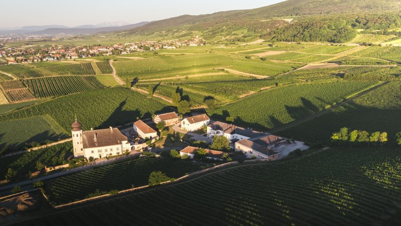 Luftaufnahme von Freigut Thallern inmitten von Weinbergen.