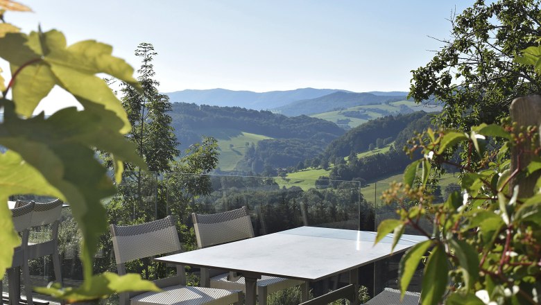 Terrasse mit Tisch und Stühlen, umgeben von grünen Blättern, mit Blick auf eine hügelige Landschaft.