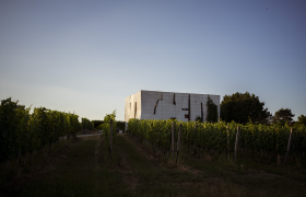 Moderne Architektur inmitten eines Weinbergs bei Sonnenuntergang.