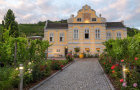 Gelbes Barockgebäude mit Garten und Weinreben, Dämmerung.