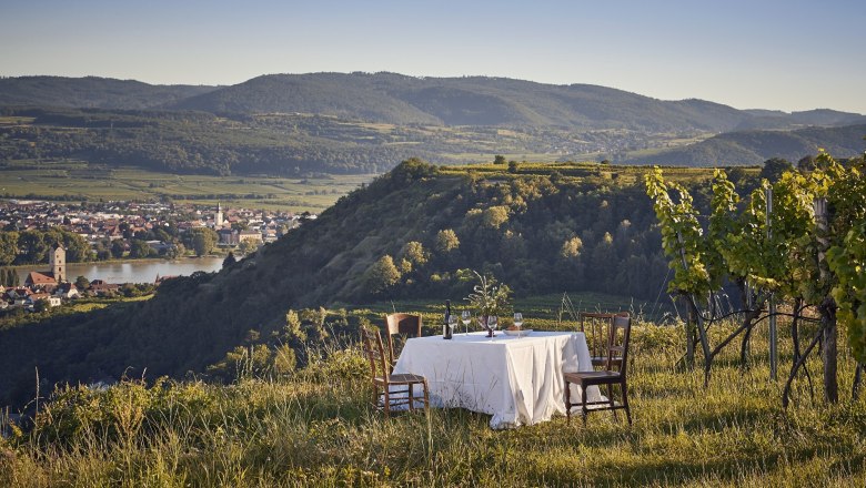 Ein gedeckter Tisch in einem Weinberg mit Blick auf eine Stadt und Hügel im Hintergrund.
