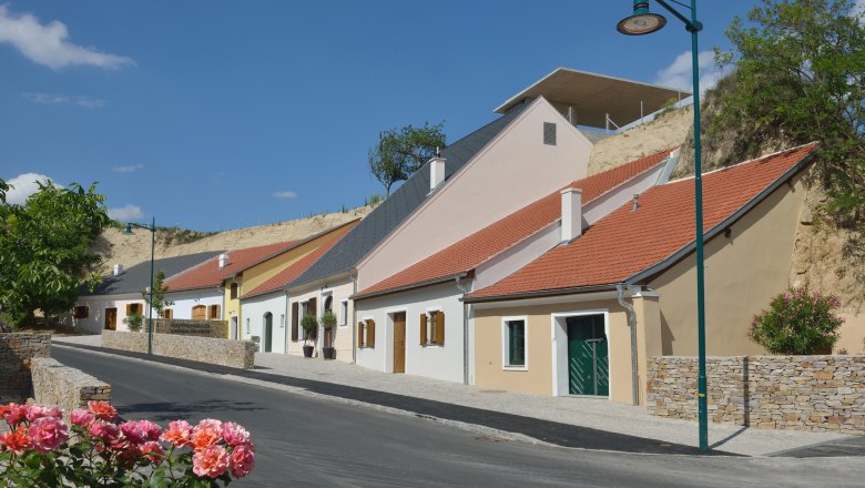 Reihe bunter Weinkeller in Krems, Österreich, mit blühenden Rosen im Vordergrund.