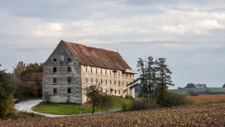 Korngut Fr&uuml;her, &copy; korngut