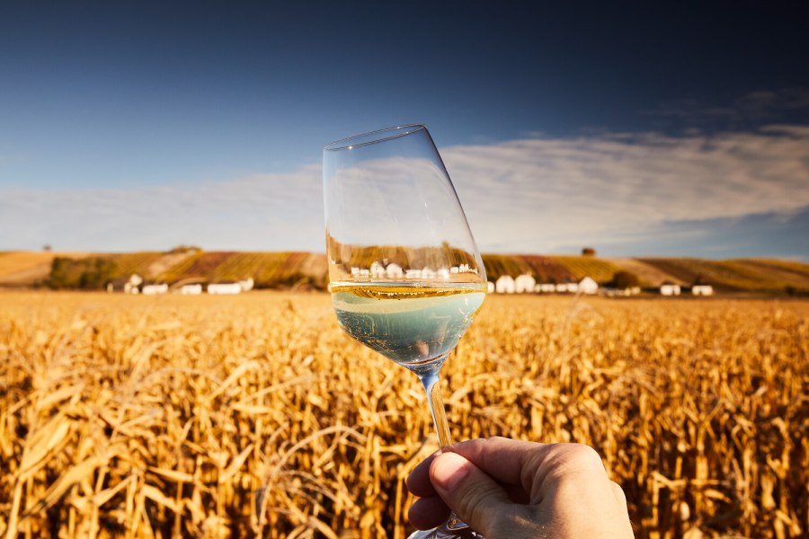Convention Nieder&ouml;sterreich, Herbst im Weinviertel, &copy; Weinviertel Tourismus, Michael Liebert