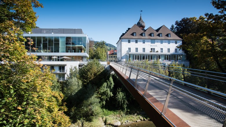 Moderne und historische Geb&auml;ude mit Br&uuml;cke in gr&uuml;ner Umgebung.