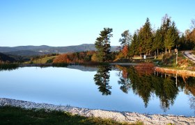 Ein ruhiger Teich spiegelt Bäume und Himmel, umgeben von Wiesen und einem Haus am Waldrand.