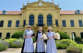 Schloss Eckartsau, "Knicksen, aber richtig", &copy; Elisabeth Sandfort